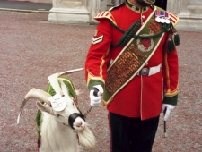 British pith Helmet